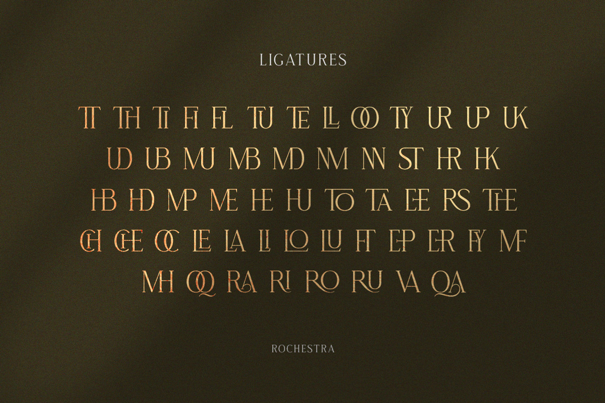 Rochestra Serif Typeface, a Serif Font by Letterhend Studio (Photo 4 of 9)