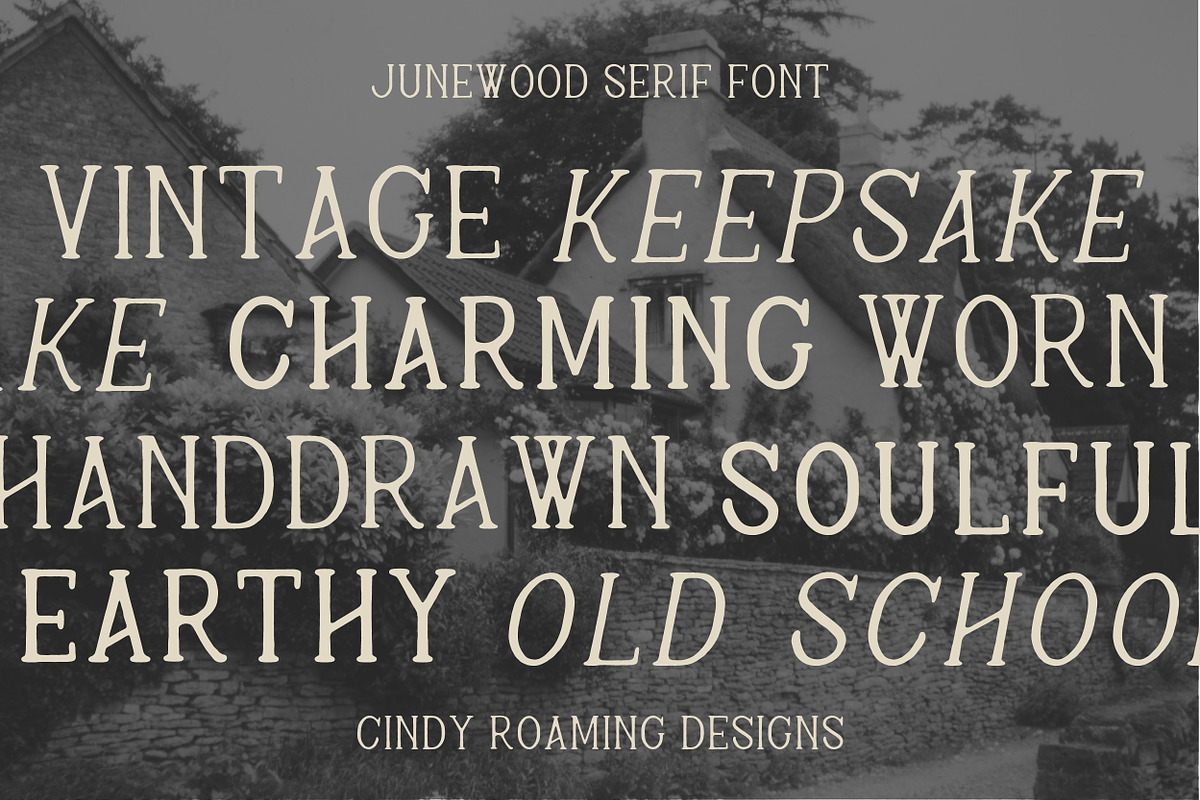 Junewood by Cindy Roaming Designs, a Serif Font by cindyroamingdesigns (Photo 5 of 8)