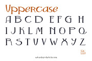 Birdie - handdrawn display font, a Serif Font by saturday.sketch (Thumbnail 2 of 8)