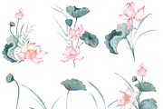 Watercolor Lotus Clip Art Collection, an Object Illustration by ArtbyHien (Thumbnail 2 of 5)