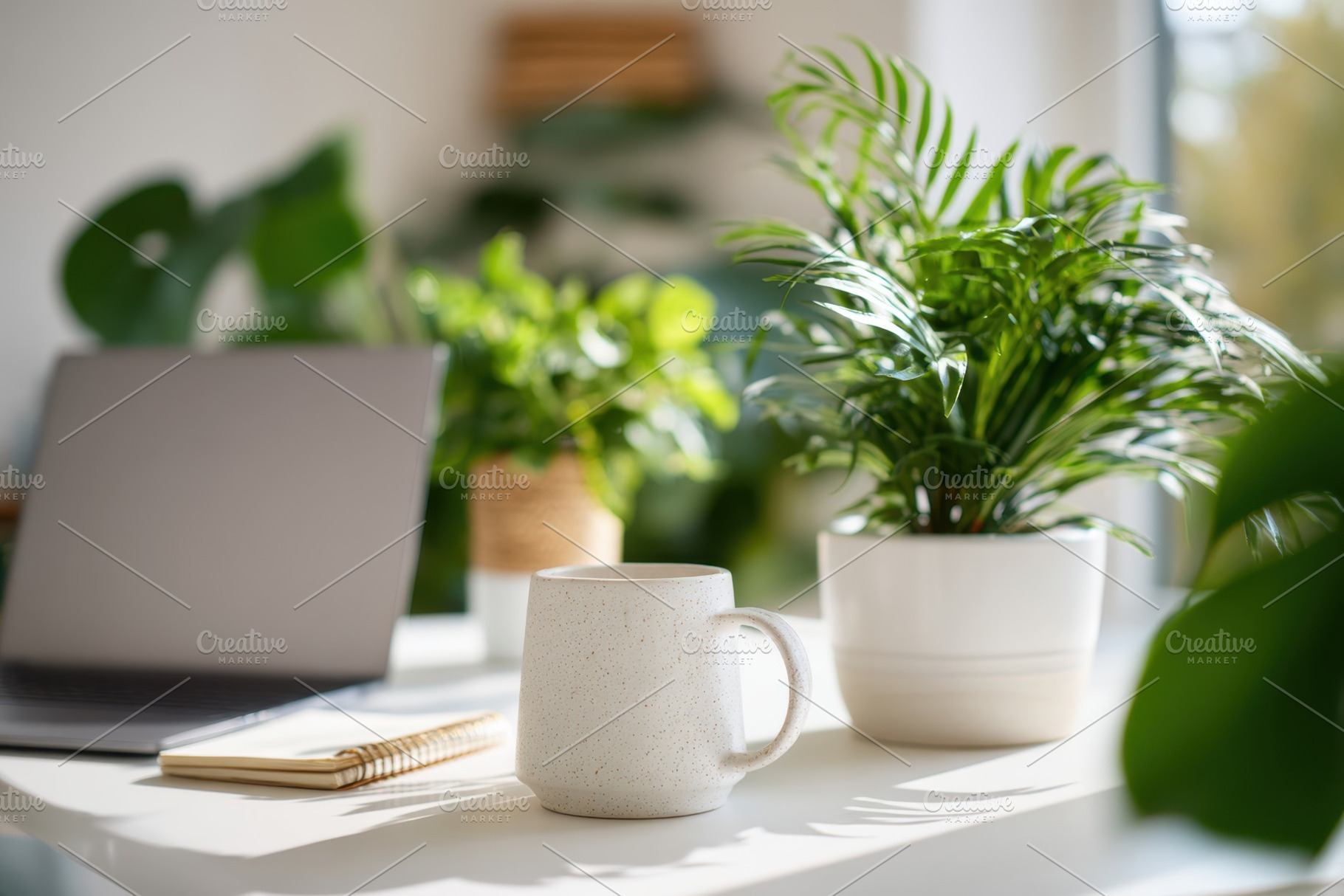 Cozy workspace with plants and a mug, a Nature Photo by AlyaAnd