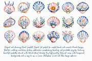 Floral Seashell Clipart set, an Illustration by Libby Wishes (Thumbnail 2 of 7)