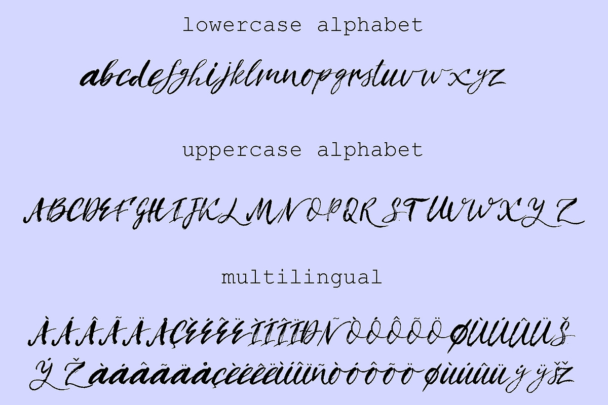 Pluvo Script | Brush Font preview 6