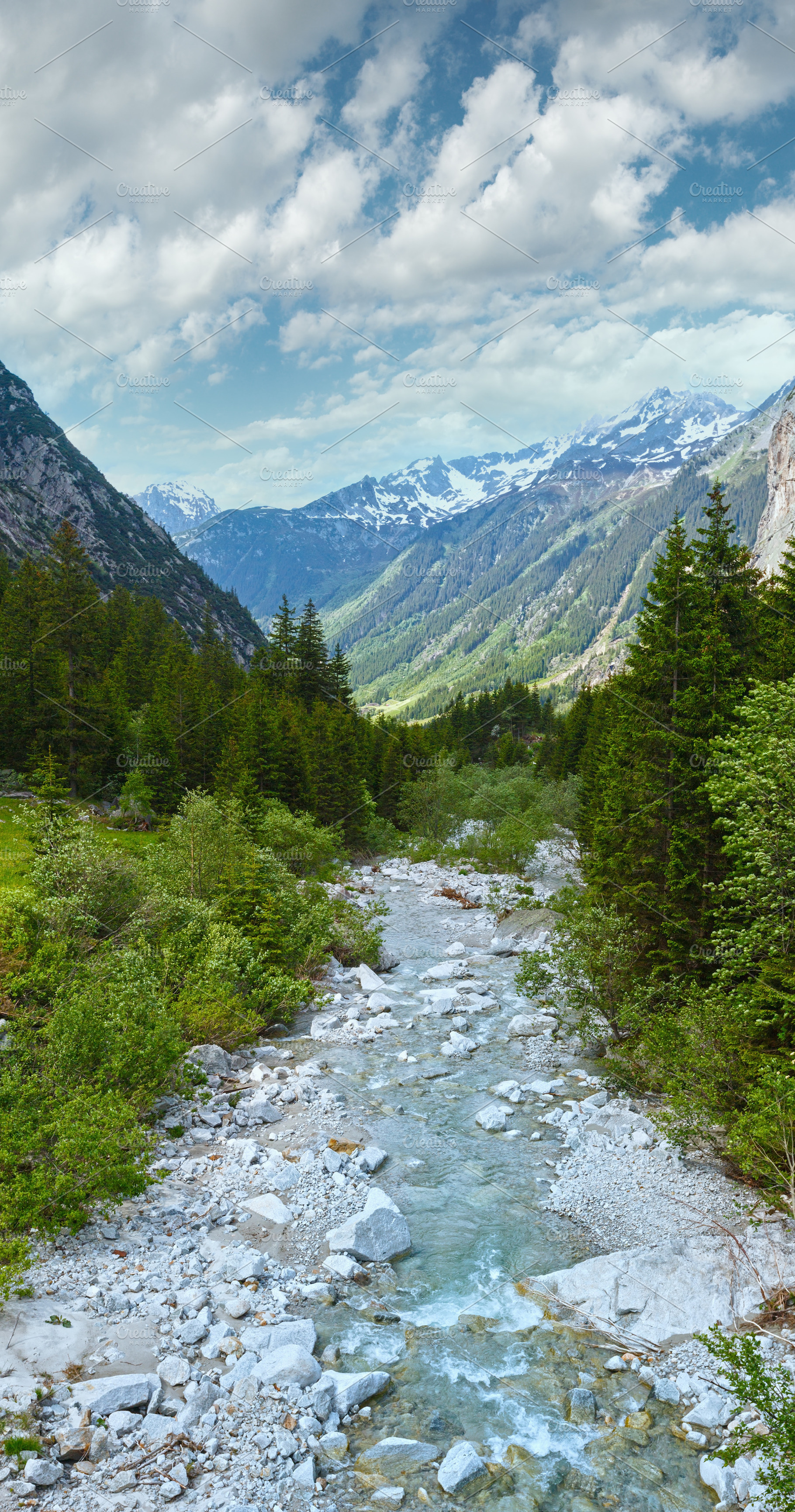 Grimsel Pass summer landscape (Switzerland)., a Nature Photo by YuriyB