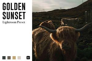 Golden Sunset Lightroom Preset, a Templates & Theme by Bryan Siu