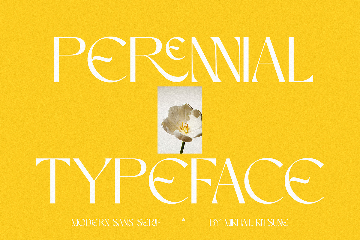 Perennial - Elegant & Ligature Sans, a Sans Serif Font by Mikhail Kitsune (Photo 1 of 9)