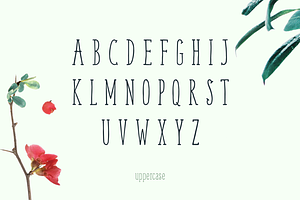 Weem Hand Lettered Font