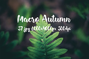 Macro Autumn photo bundle, a Templates & Theme by ApertureVintage (Thumbnail 4 of 21)