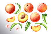 Honey Peaches. Original Watercolor, a Food Illustration by Daria Ustiugova (Thumbnail 20 of 21)