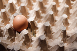 Fresh organic panel eggs on sackclot, a Food & Drink Photo by bastera