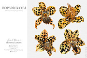 Leopard Bloom - Patterns & Motifs, a Pattern Graphic by Alisa Fimen Design (Thumbnail 11 of 11)