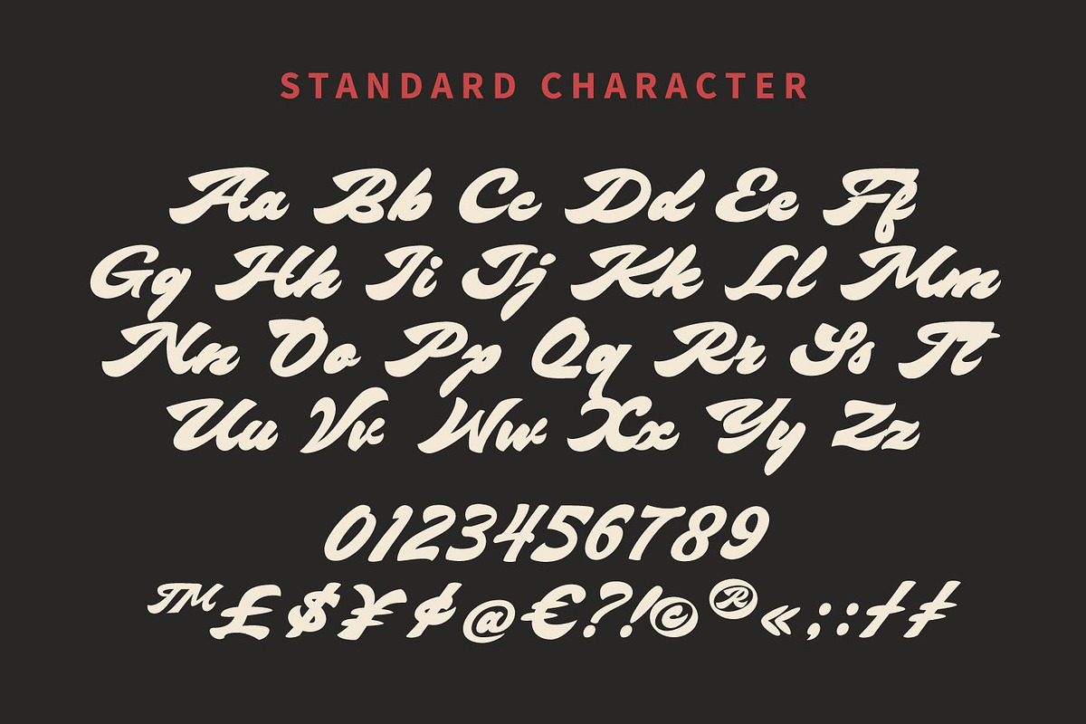 Bright Supply - Bold Script Font, a Script Font by Zarma Type (Photo 11 of 12)