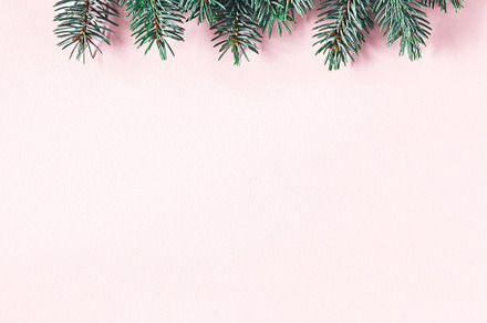 Christmas tree branches featuring fir, tree, and pink, a Holiday Photo by Flaffy