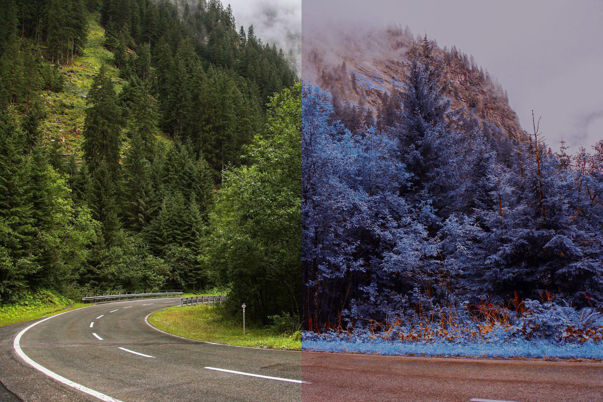 454 Infrared Fantasy Pro LUTs, a Preset Add-On by ShutterPro (Photo 25 of 48)