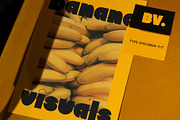 Willow Sans, a Sans Serif Font by Tropical Type (Thumbnail 10 of 11)