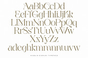 Kigelio | Display Serif, a Serif Font by Ivan Rosenberg (Thumbnail 9 of 12)