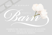 Film Storia, Calligraphy Font, a Script Font by Andfonts (Thumbnail 5 of 8)