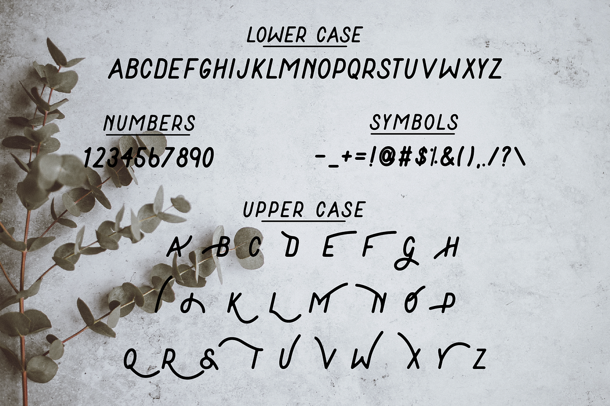 Dirt & Vines - A Gritty San-Serif preview 4