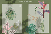 Snake in grass seamless+ clipart set, a Texture Graphic by PatternsBlooming (Thumbnail 7 of 7)