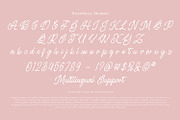 Strawberry Moment, a Handwritten Font by din-studio.com (Thumbnail 7 of 10)