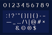 Marvene - Serif Font, a Serif Font by CuratedType Studio (Thumbnail 5 of 10)