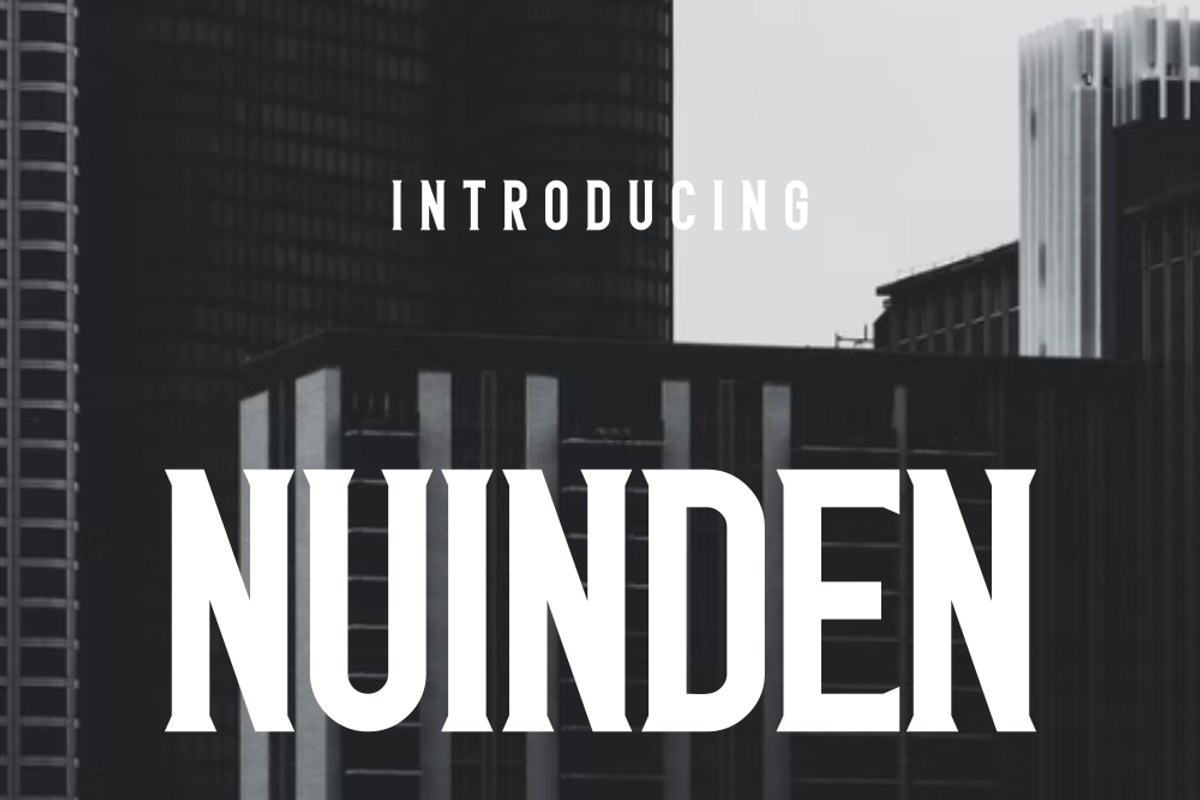 Nuinden, a Sans Serif Font by lelevien (Photo 2 of 4)
