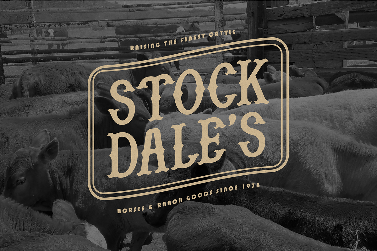 Liantero | Western Style, a Slab Serif Font by Denustudios (Photo 2 of 12)