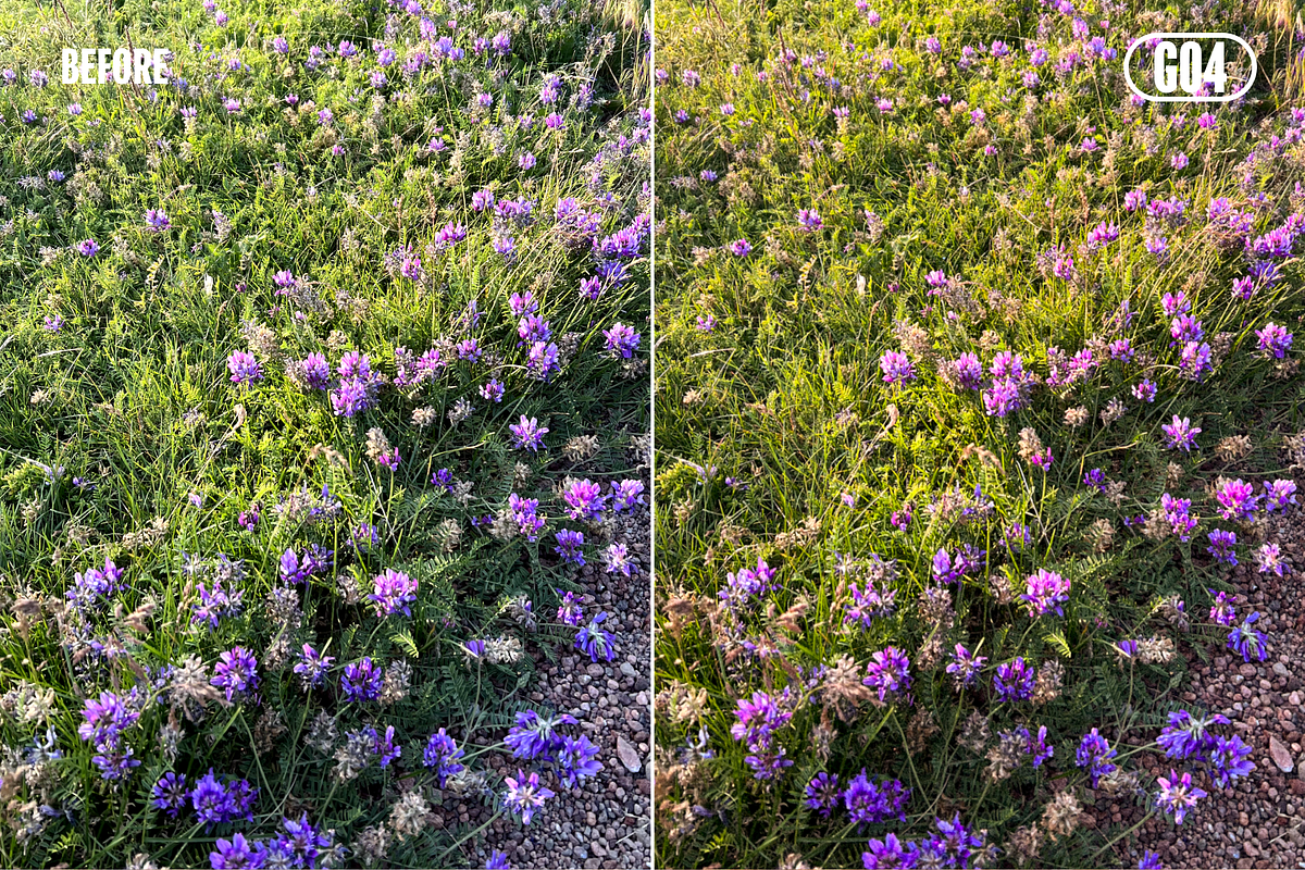 Kodak Gold Film Mobile Presets, a Preset Add-On by VHC GRAPHICS (Photo 4 of 6)