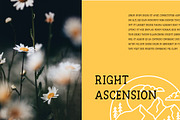 North Star | Vintage Slab Serif, a Slab Serif Font by Beveled Design Co. (Thumbnail 5 of 10)