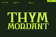 c-latin display type, a Serif Font by Colosse Foundry (Thumbnail 4 of 7)