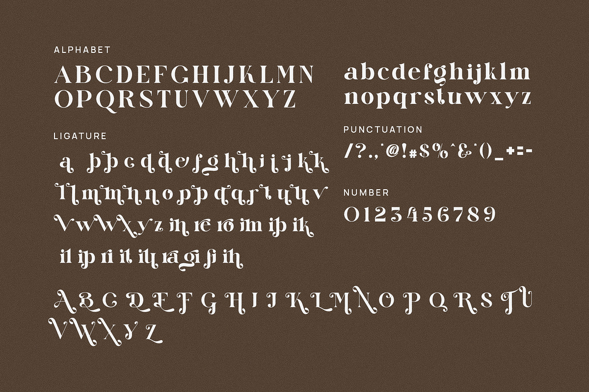 Bolin Dariske Elegant Serif Font, a Serif Font by Perfectype (Photo 6 of 6)