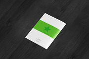 Brochure / Catalog Mock-Up, a Print Template by MassDream (Thumbnail 4 of 20)