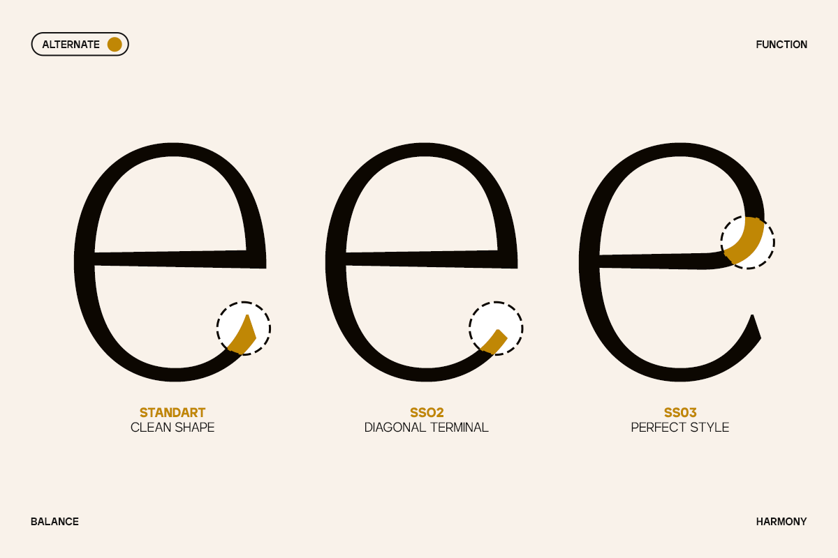 GC Marone - Elegant Essential Serif, a Serif Font by Glyphonic (Photo 12 of 15)