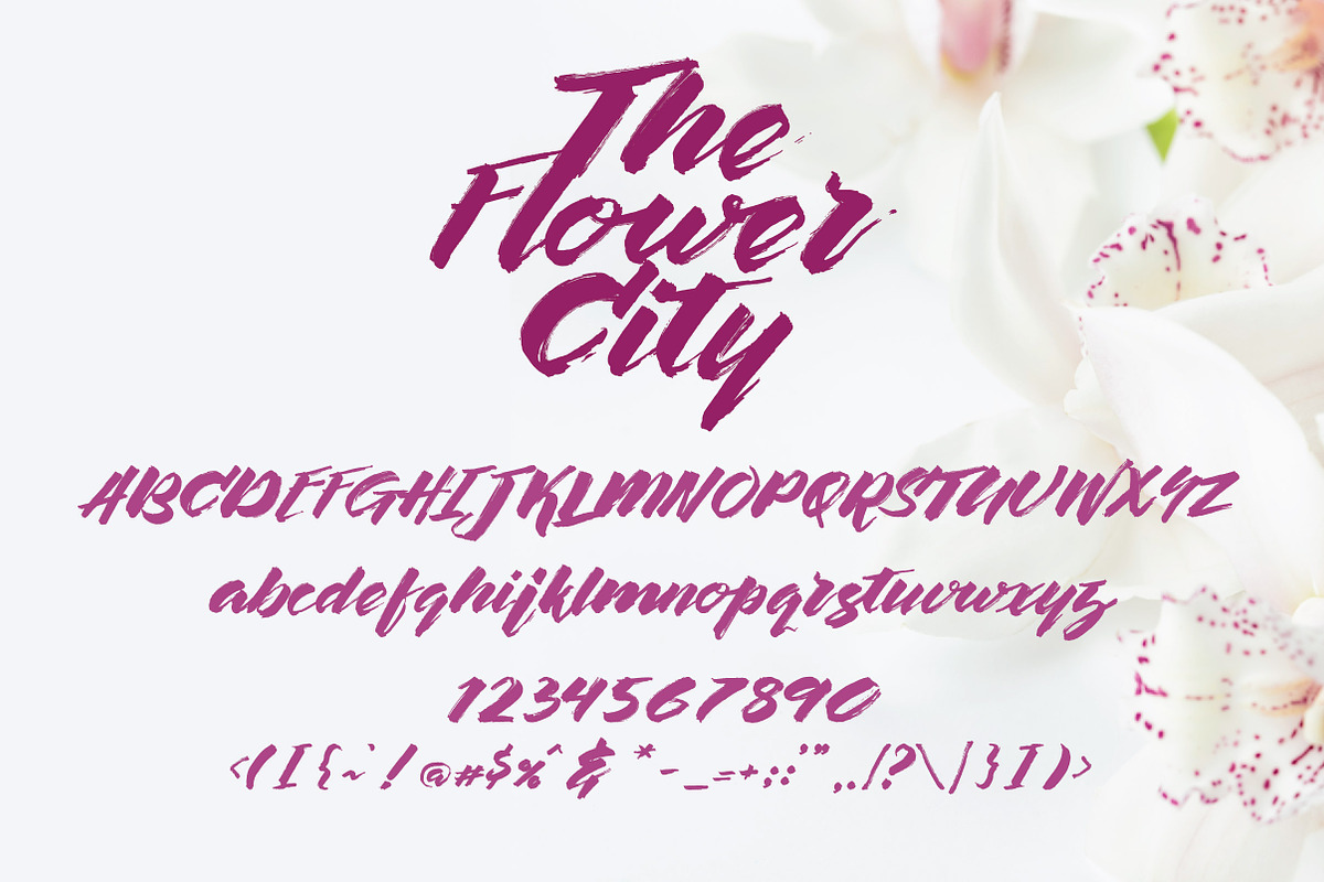The Flower City preview 5