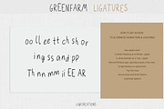 Greenfarm Rustic Font Logos Doodles, a Sans Serif Font by LABFcreations (Thumbnail 16 of 17)