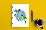 Hummingbirds. PNG.Watercolour, an Illustration by ElliaArt (Thumbnail 9 of 10)