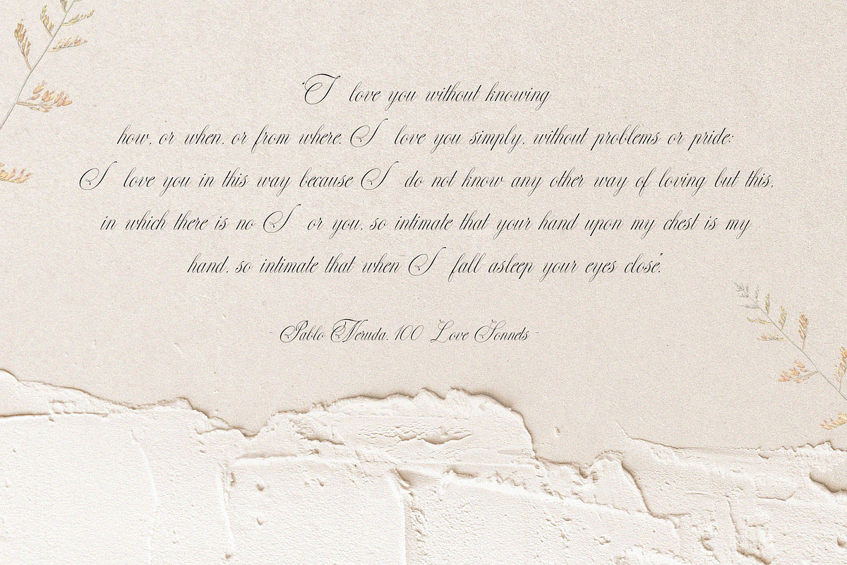Perfections - Classy Romantic Script, a Script Font by BrandSemut (Photo 10 of 15)