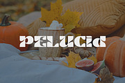 Caysa - Elegant Display Font, a Sans Serif Font by Flawless And Co (Thumbnail 5 of 10)