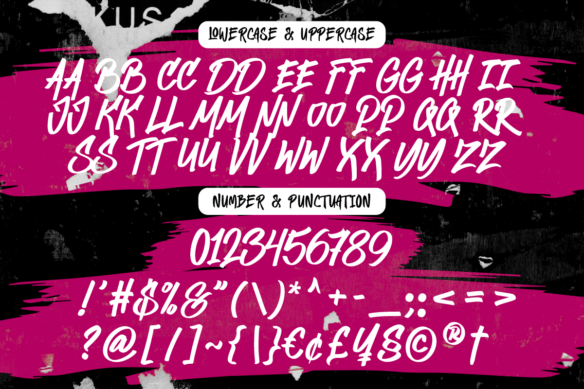 Echoed Vandalism Street Graffiti, a Handwritten Font by Ronny Studio (Photo 8 of 9)