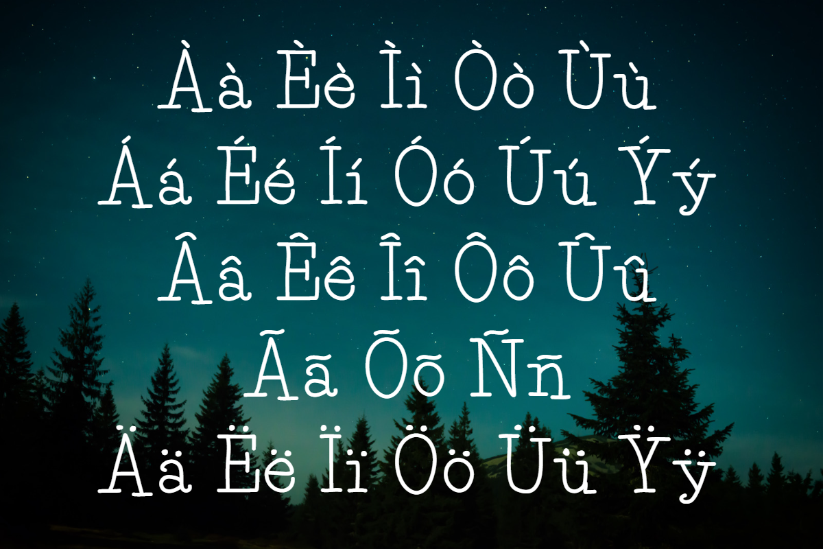 Pine Tall serif font, a Serif Font by TNE Designs (Photo 5 of 5)