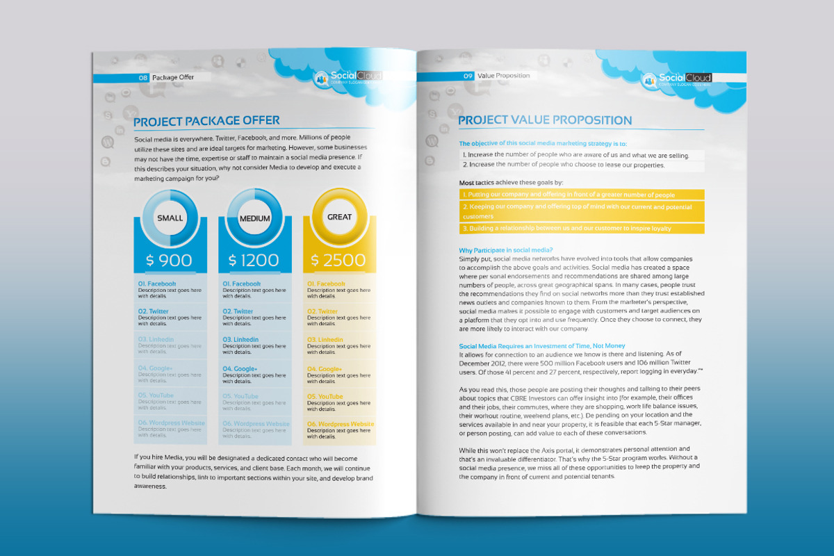 Social Media Project Proposal, a Brochure Template by ContestDesign (Photo 6 of 11)