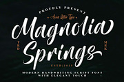 Magnolia Springs | Handwritten, a Handwritten Font by Aveni Letter Type (Thumbnail 1 of 11)