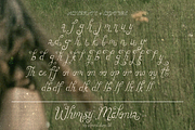 Whimsy Melonia – Whimsical Font, a Handwritten Font by shineink.designlab (Thumbnail 14 of 14)