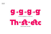 Neue Reman Grotesk, a Sans Serif Font by Propertype (Thumbnail 9 of 14)