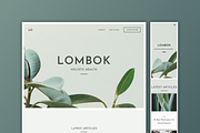 UI Kit - Lombok, an UI Kit Template by Delightful Design (Thumbnail 8 of 8)