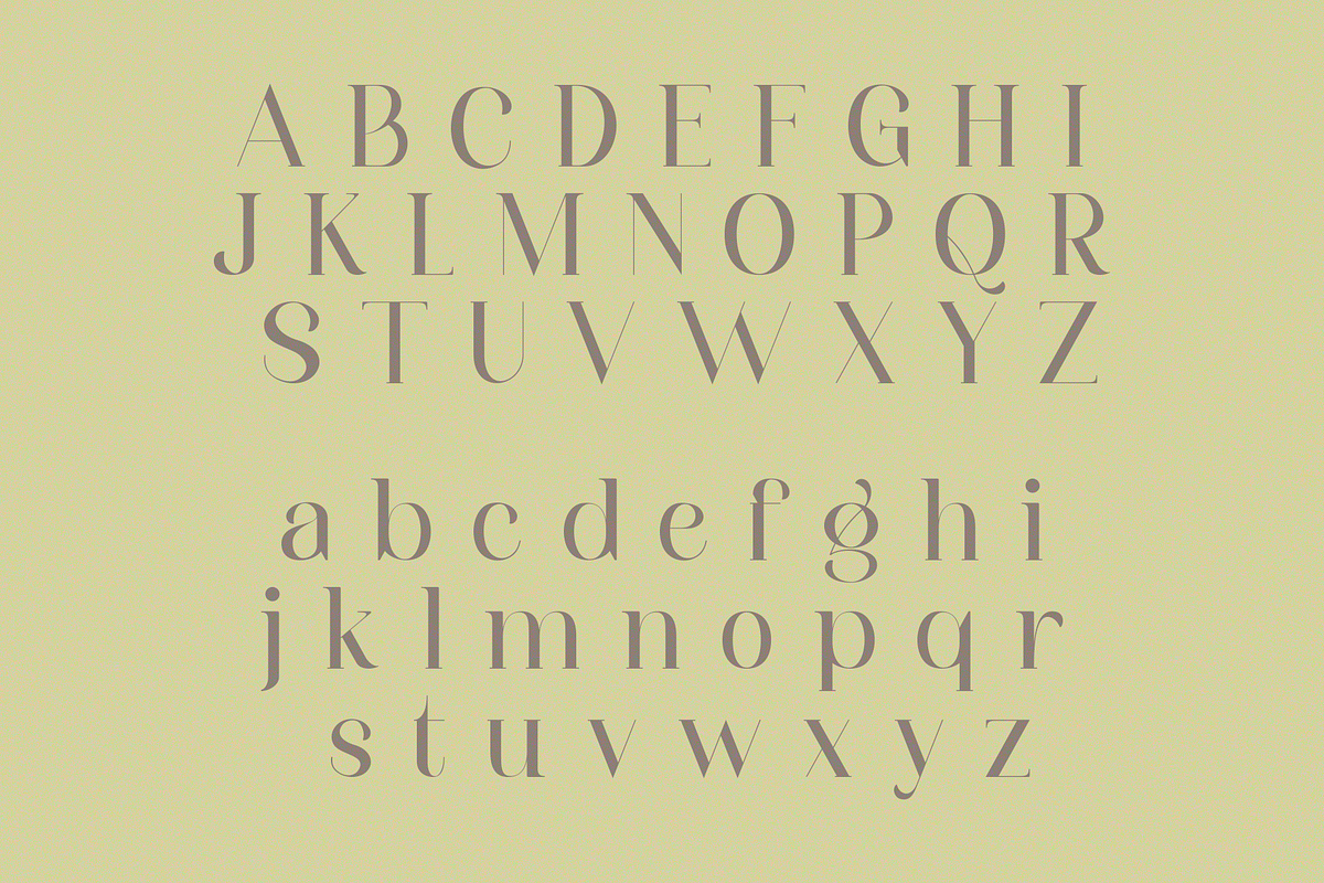 Eleanorth, a Serif Font by RT Studio (Photo 8 of 10)