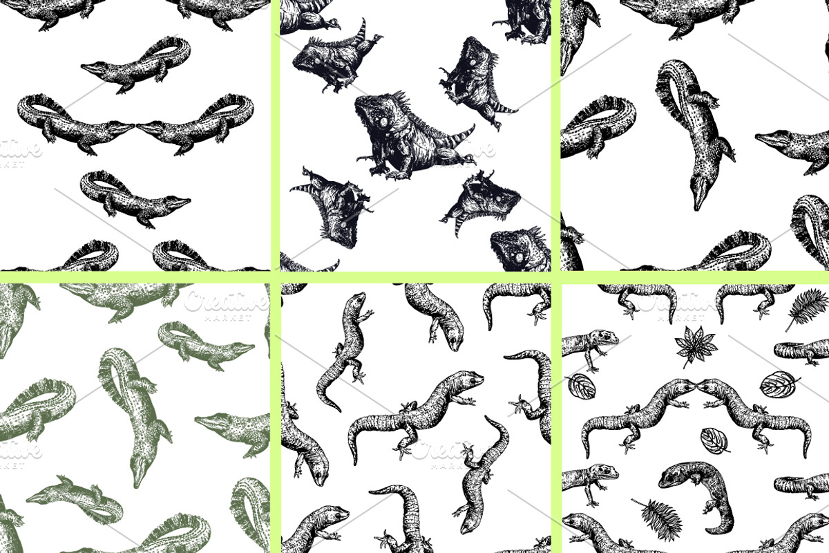 Reptiles, an Animal Illustration by Ecaterina Sciuchina (Photo 4 of 5)