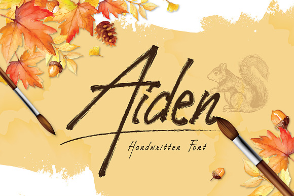 Aiden preview 8