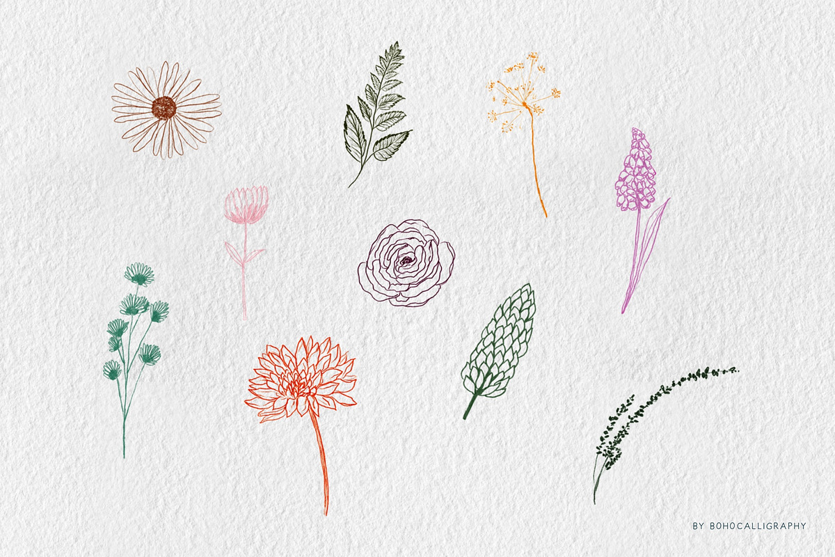 Wildflowers Procreate Stamps, a Brush Add-On by BohoCalligraphy (Photo 3 of 9)