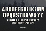 Prevalent - Textured Sans Serif, a Font by The Branded Quotes (Thumbnail 3 of 4)